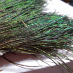 Hebras de Peacock Reptilius