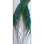 Peacock Swords Extra Select Pair Pocket Rocket's