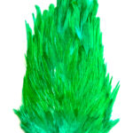 Rooster Saddle Grey Gull