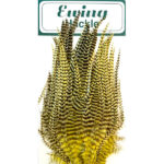 Saddle Schlappen Ewing