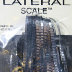 Lateral Scale Hedron